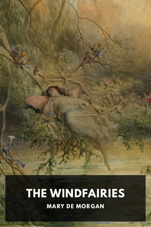 Typing practice book cover: The Windfairies