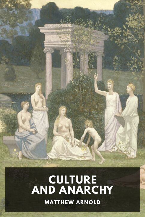 Typing practice story cover: Culture and Anarchy