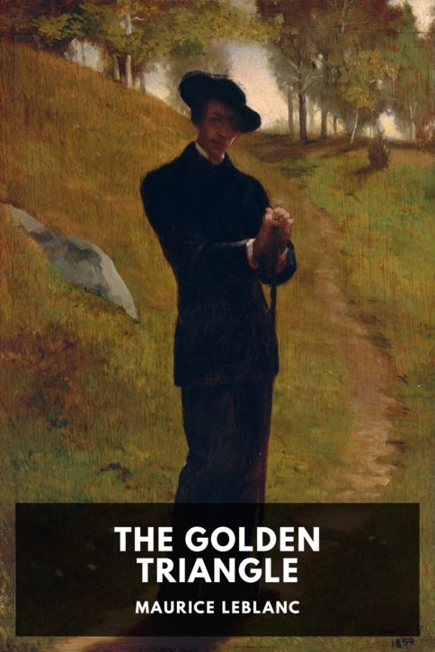 Typing practice story cover: The Golden Triangle