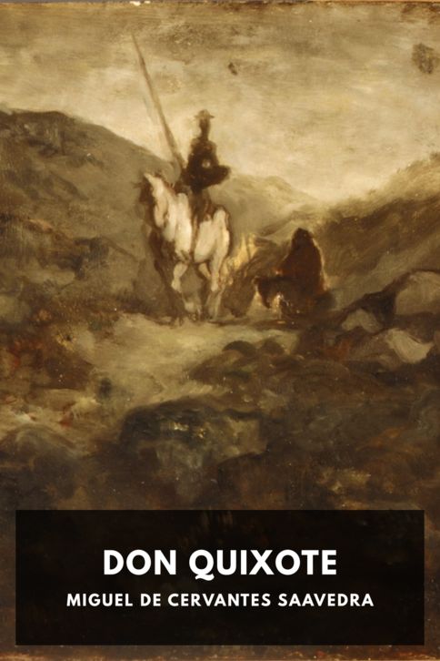 Typing practice story cover: Don Quixote