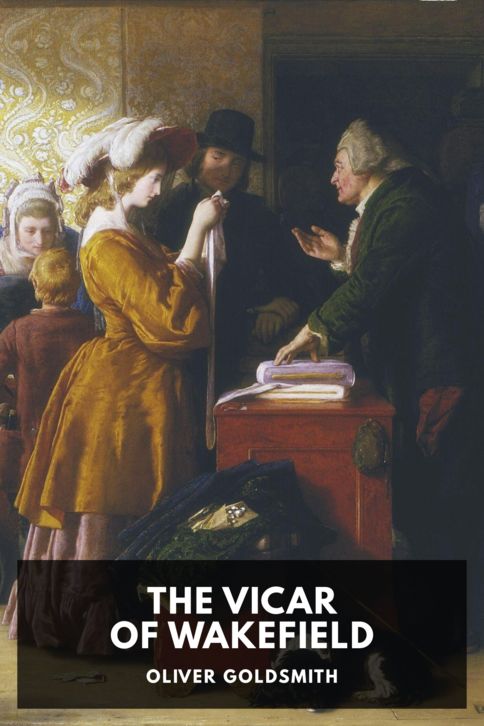 Typing practice book cover: The Vicar of Wakefield