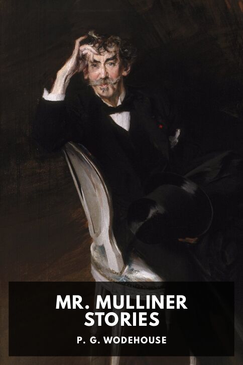 Typing practice story cover: Mr. Mulliner Stories