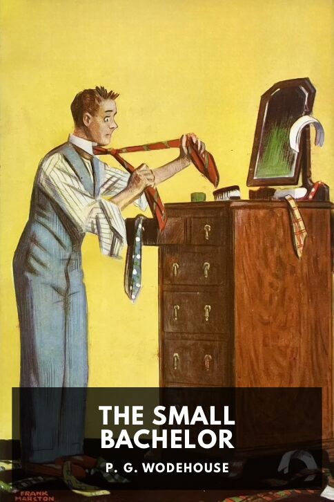 Typing practice book cover: The Small Bachelor