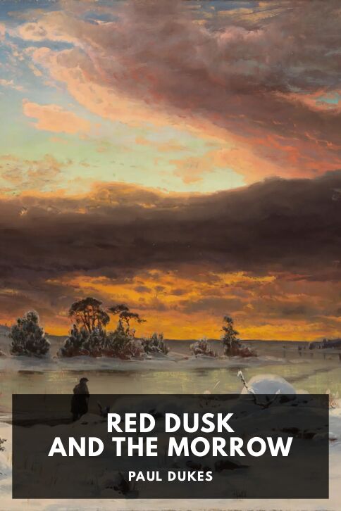 Typing practice book cover: Red Dusk and the Morrow