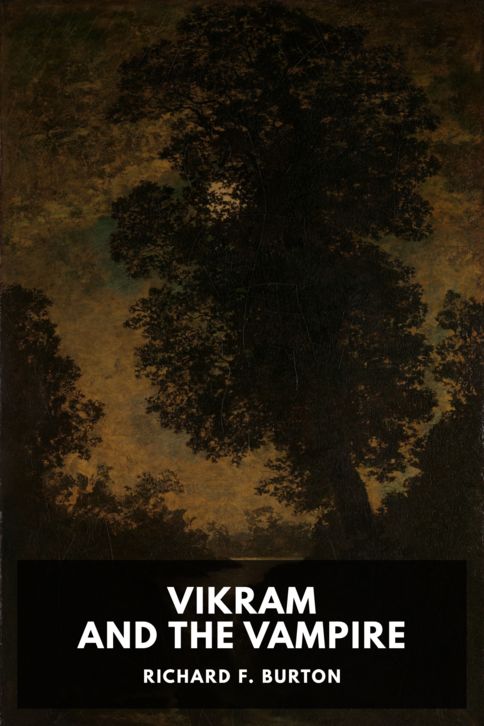 Typing practice story cover: Vikram and the Vampire