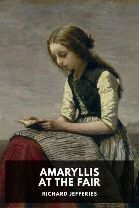 Typing practice book cover: Amaryllis at the Fair