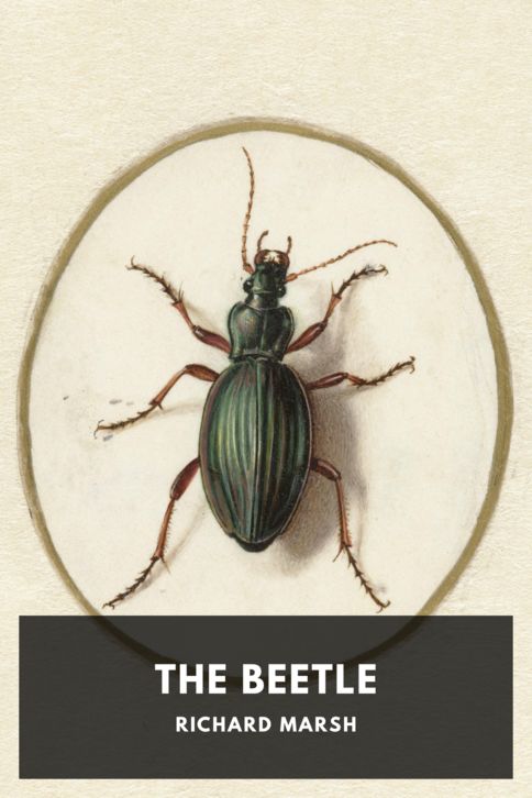 Typing practice book cover: The Beetle