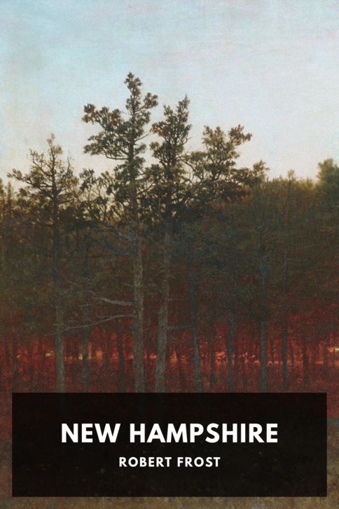 Typing practice story cover: New Hampshire