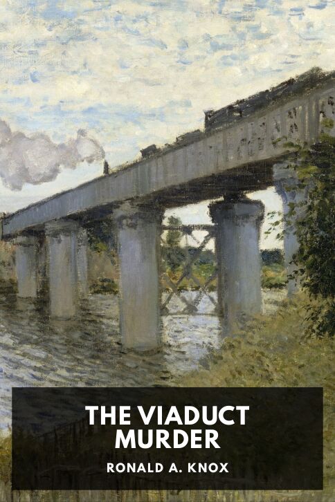 Typing practice book cover: The Viaduct Murder