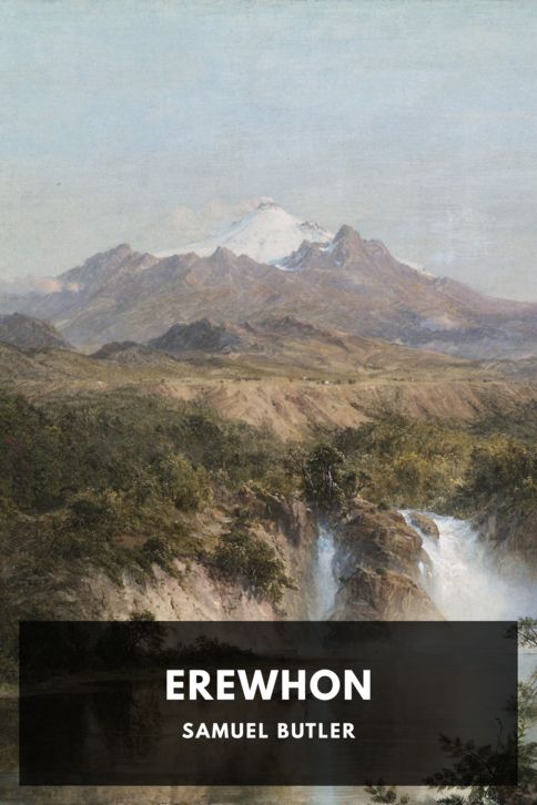 Typing practice story cover: Erewhon