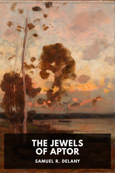 Typing practice story cover: The Jewels of Aptor