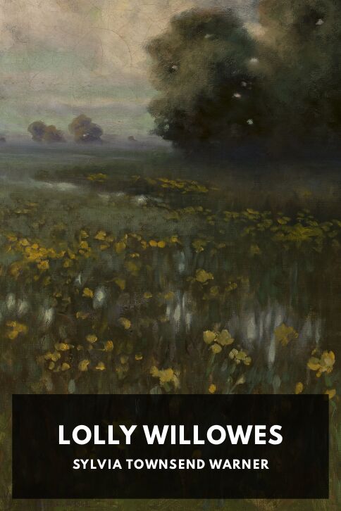 Typing practice story cover: Lolly Willowes