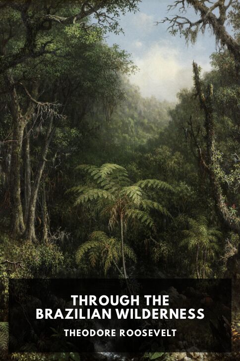 Typing practice book cover: Through the Brazilian Wilderness