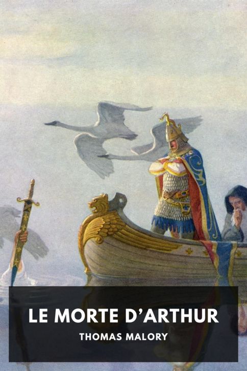 Typing practice story cover: Le Morte d’Arthur