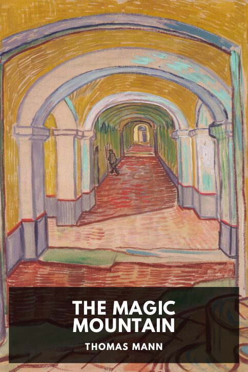 Typing practice story cover: The Magic Mountain