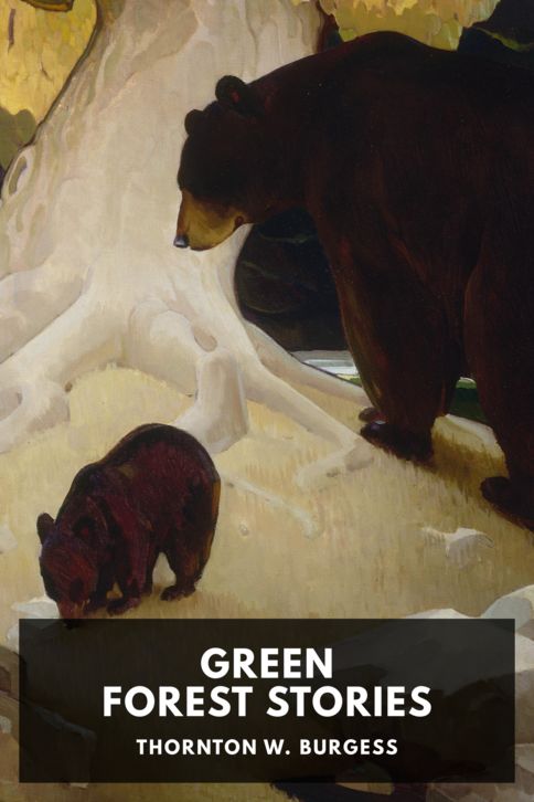 Typing practice story cover: Green Forest Stories