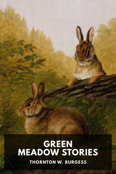 Typing practice story cover: Green Meadow Stories