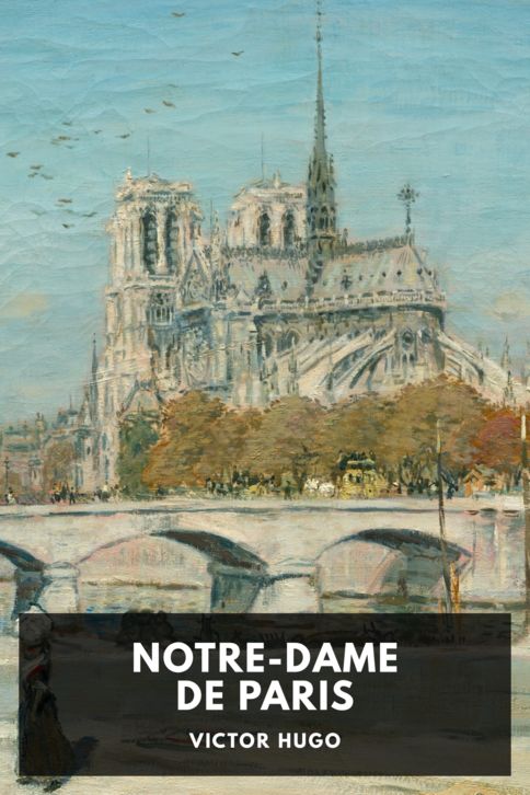 Typing practice story cover: Notre-Dame de Paris