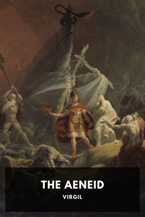 Typing practice book cover: The Aeneid