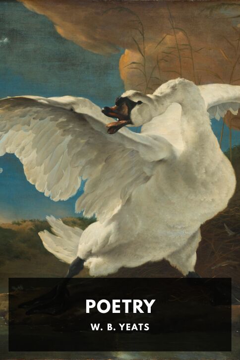 Typing practice book cover: Poetry