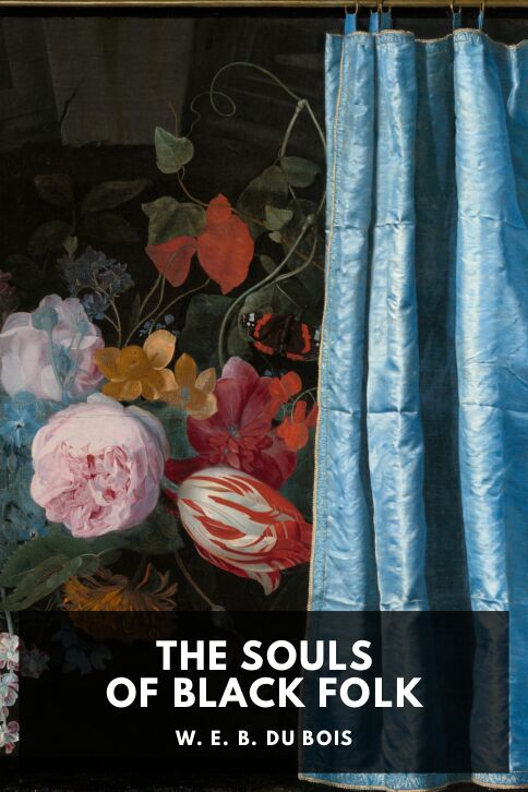 Typing practice story cover: The Souls of Black Folk