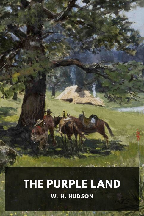 Typing practice book cover: The Purple Land
