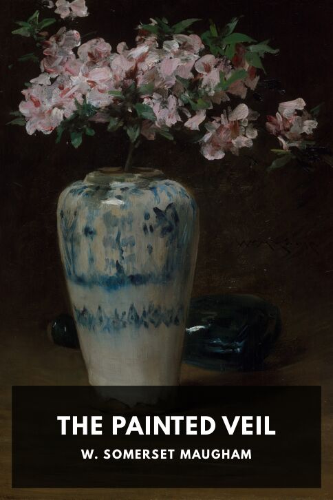 Typing practice story cover: The Painted Veil