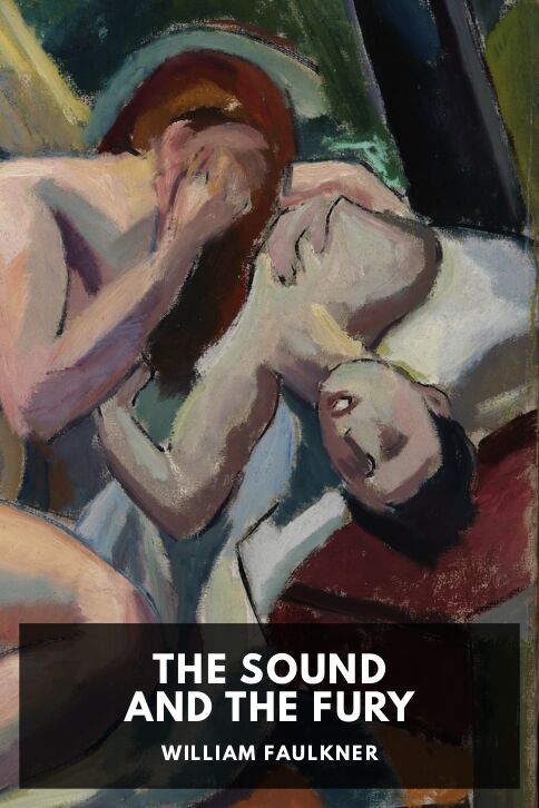 Typing practice story cover: The Sound and the Fury