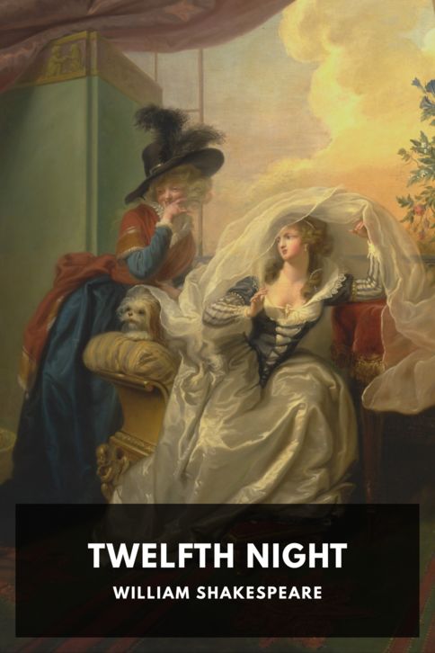 Typing practice story cover: Twelfth Night